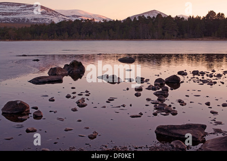 Ruhig Winterabend, Loch Morlich in der Nähe von Aviemore, Glenmore Forest Park, Cairngorms National Park, Schottisches Hochland, Schottland, Vereinigtes Königreich Stockfoto