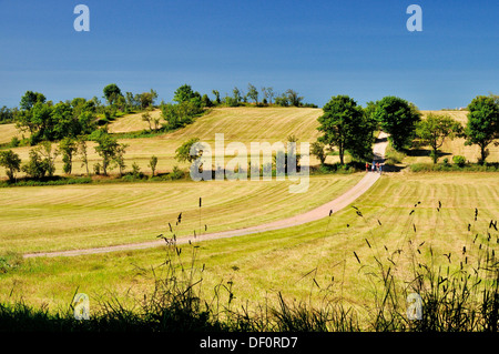 Lehre-Pfad in den Bergen Geising Bergbau, am Funkgeräte, Bergbaulehrpfad Geisingberg Stockfoto