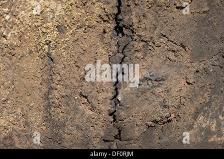 Detail der riesigen (2 m pro Weg) vesikulären Lava-Vulkanbombe aus explosivem Ausbruch von Montaña Colorada, Lanzarote, mit großem Sägezahnriss Stockfoto