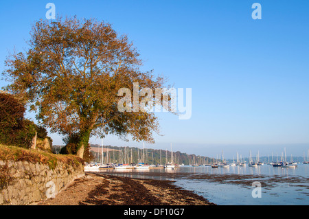 Mylor Yacht-Hafen in der Nähe von Falmouth in Cornwall, Großbritannien Stockfoto