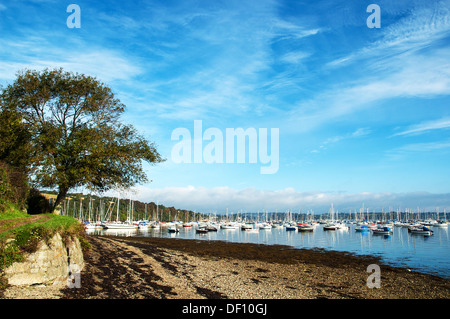 Mylor Yacht-Hafen in der Nähe von Falmouth in Cornwall, Großbritannien Stockfoto