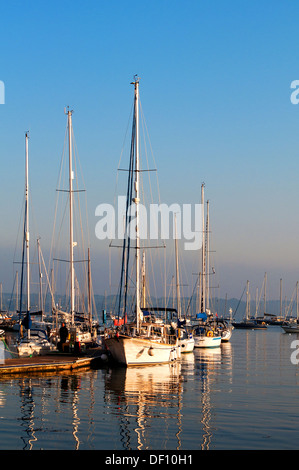 Yachten ankern am Mylor Hafen in der Nähe von Falmouth in Cornwall, Großbritannien Stockfoto