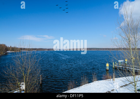 Fliegende Vögel über Winter See oder Fluss Wasser Oberfläche und verschneiten Ufer mit pier Stockfoto