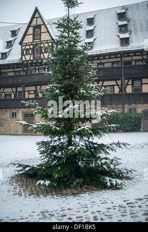 Frisch gefallenen Schnee am Weihnachtsbaum im Innenhof des alten Hof, Bamberg, Deutschland Stockfoto