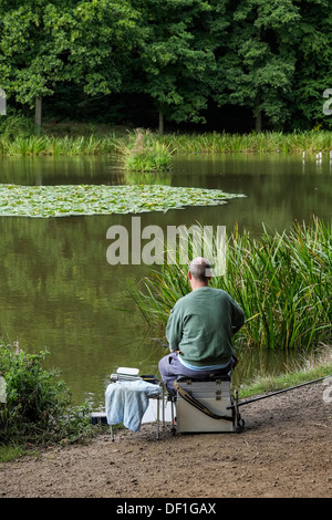 Ein Angler Angeln im alten Saal Teich in Thorndon Country Park in Essex. Stockfoto