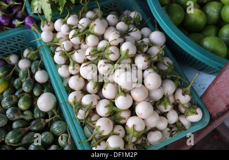 Thai Auberginen zum Verkauf auf einem Markt in Bangkok Stockfoto