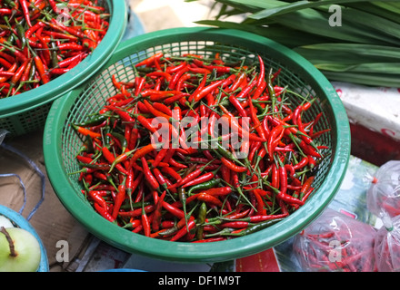 Thai Chilis zum Verkauf an Straßenmarkt in Bangkok Stockfoto