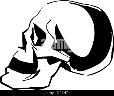 Menschen-Schädel Stockfoto