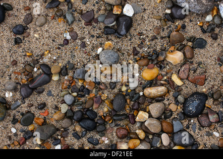 Nahaufnahme von Kiesel am Strand Stockfoto