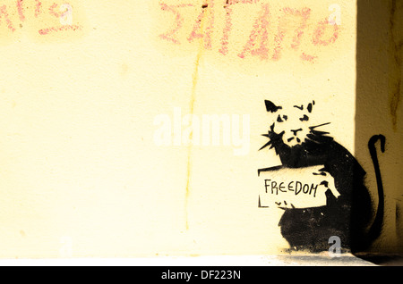 Graffiti mit einer Katze mit einem Schild "Freiheit" Stockfoto