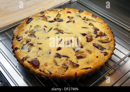 Kuchen mit süßen Pflaumen Stockfoto