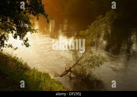 Der Fluss Bug Podlaskie Provinz, Nord-Ost-Polen. Stockfoto