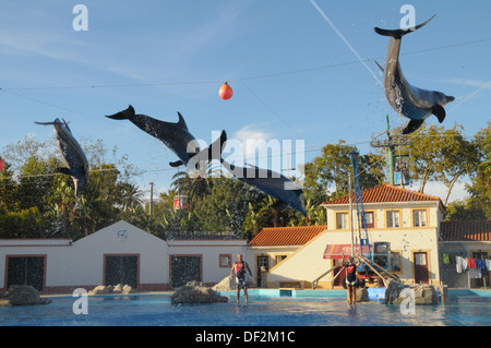 Zoo von Lissabon PORTUGAL Stockfoto