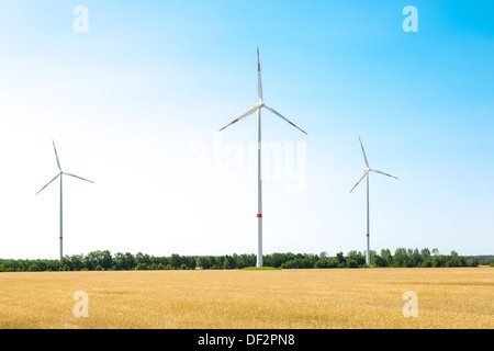 Windenergieanlagen mit einem Weizenfeld im Vordergrund Stockfoto