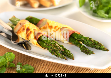 Gebackene Grünspargel eingewickelt in Speck und Wan-Tan-Teig (selektiven Fokus, Fokus auf die Spargelspitzen des ersten Bundles) Stockfoto