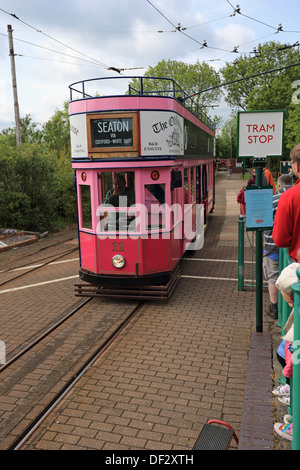 Elektrische Straßenbahn Seaton Dorset UK GB Mai 2013 Stockfoto