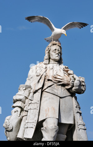 Statue von König Wilhelm III.; Prinz von Oranien mit Silbermöwe - Larus argentatus Stockfoto