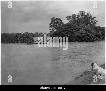 Luftbild der Flut, unbekannte Strecken des untereren Mississippi Flusses. 285962 Stockfoto