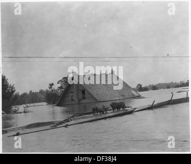 Luftbild der Flut, unbekannte Strecken des untereren Mississippi Flusses. 285964 Stockfoto