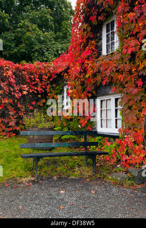 TU Hwnt I'r Bont Teestube während Romanum, North Wales, UK in volle Herbstfärbung Stockfoto