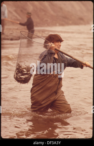 JÄHRLICHE STINT LAUFEN BEI GESANG BRÜCKE, TAWAS STADT. IN MITTE APRIL TAUSENDE VON FISCHER GATHER AUF WHITNEY ABFLUSS, A... 551393 Stockfoto