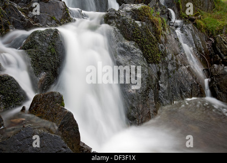 Nahaufnahme der Wasserfälle Tom Gill Beck im Sommer In der Nähe von Tarn Hows Lake District National Park Cumbria England Vereinigtes Königreich GB Großbritannien Stockfoto