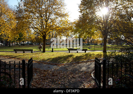 John Fitzgerald Kennedy Park hinter der Harvard Kennedy School of Government in Cambridge, MA, im Herbst. Stockfoto