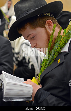 Religiösen jüdischen junger Mann hält eine Esrog und Lulaw am Morgengebet in Crown Heights, Brooklyn, New York Stockfoto