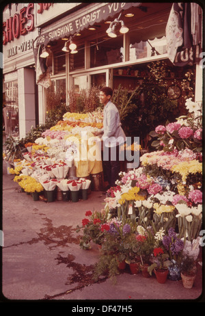 Ein Blumenladen an der Ecke der Third Avenue und 66th Street in Midtown Manhattan, in dem typische Geschäfte der Nachbarschaft mit Outdoor-Ausstellungen präsentiert werden. Die Gegend repräsentiert die lebhafte, geschäftige Natur des Einkaufs von Midtown Manhattan auf Straßenniveau. Stockfoto