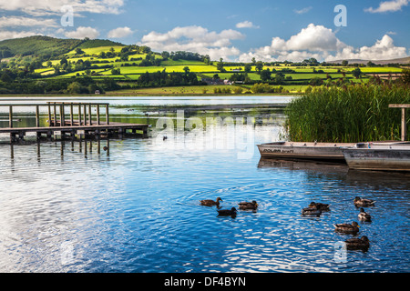 Blick über Llangors See im Brecon Beacons National Park, Wales. Stockfoto