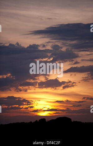 Langland Bucht - Swansea - UK 27. September 2013: atemberaubenden Sonnenuntergang über den Baumkronen über Langland Bucht in der Nähe von Swansea heute Abend. Bildnachweis: Phil Rees/Alamy Live-Nachrichten Stockfoto