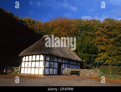 Abernodwydd Bauernhaus im Herbst National History Museum St Fagans Cardiff South Wales UK Stockfoto