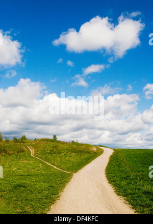 Feldweg durch grasbewachsenen Landschaft Stockfoto
