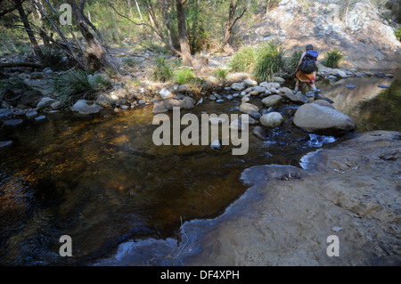 Wanderer über Mt Barney Bach, direkt über die Verknüpfung mit der Logan River, Mt Barney National Park, Queensland, Australien. Kein Herr Stockfoto