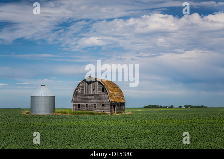 Eine alte Scheune und ein Bauernhof Silo auf eine Prärie-Feld in der Nähe von Langdon, North Dakota, USA. Stockfoto