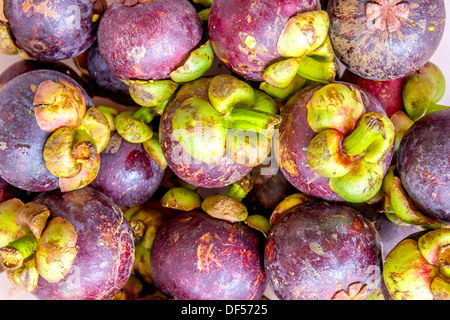 Mangostan-Markt nasse Tapete vegetarische Mahlzeit reif natürlichen wachsen köstliche Landwirtschaft tropische Fette süße Stall Diät Snack Stockfoto