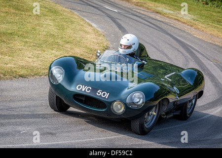 Die ursprünglichen 1954 Jaguar D-Type-Prototyp auf der 2013 Goodwood Festival of Speed, Sussex, UK. Stockfoto