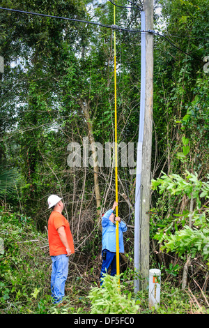 Ein Mitarbeiter des Unternehmens Strom verwendet ein Pole, eine Sicherung zu liefernden Transformatorleistung zu Wohnhäusern in Florida zu ersetzen Stockfoto