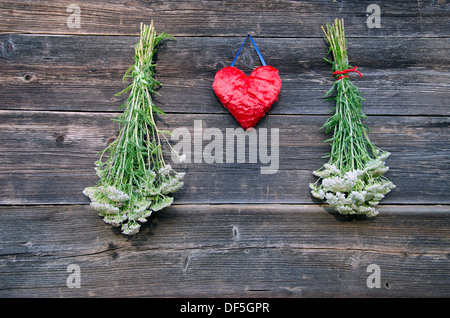 rotes Herz und Heilpflanze Achillea Millefolium Schafgarbe gemeinsame Kraut Haufen an alten hölzernen Bauernhof Wand Stockfoto