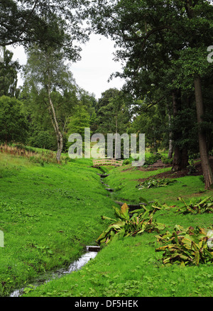 Windsor Great Park im Frühherbst mit mäandrierenden Bach ein Tal hinunter und unter einer Fußgängerbrücke Stockfoto