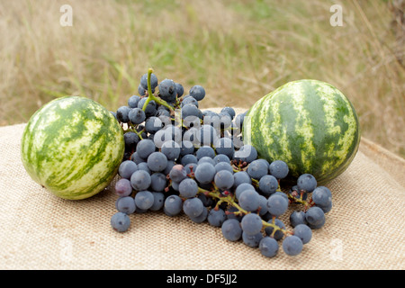 Stillleben aus Früchten von zwei Melonen und Trauben auf den grauen Hintergrund Stockfoto