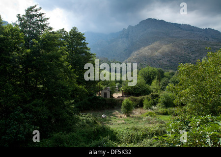 Berge rund um Corte Stockfoto