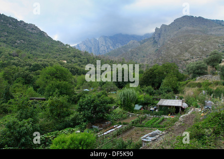 Berge rund um Corte Stockfoto