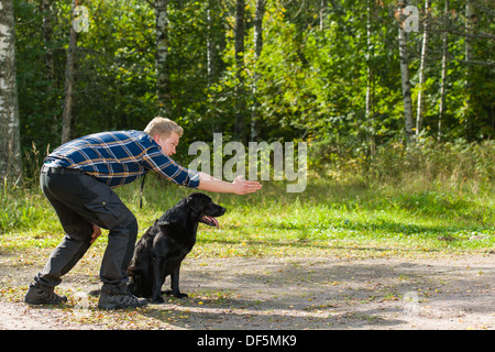 Hundebesitzer trainiert seine Labrador Retriever auf outdoor, Horizont-format Stockfoto