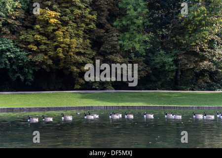 Verulamium Park St Albans Herts england Stockfoto