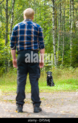 Hundebesitzer schult seine Labrador Retriever, Hund sitzt auf Hintergrund, Hochformat Stockfoto