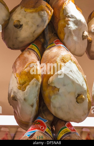 Gesamte Parma Schinken hängen in einer Stadt Zentrum Shop, Bologna, Emilia Romagna, Italien Stockfoto