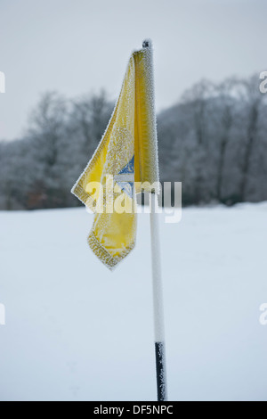 Dramatische Spritzen der gelben Flagge gegen kalten grauen Winter monochrome Schnee Szene mit Waldland - Bradford Golf Club, West Yorkshire, England, UK. Stockfoto