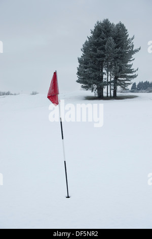 Dramatische splash Rot von Flag gegen kalten grauen Winter monochrome Schnee Szene mit Gestrüpp von Bäumen - Bradford Golf Club, West Yorkshire, England, UK. Stockfoto