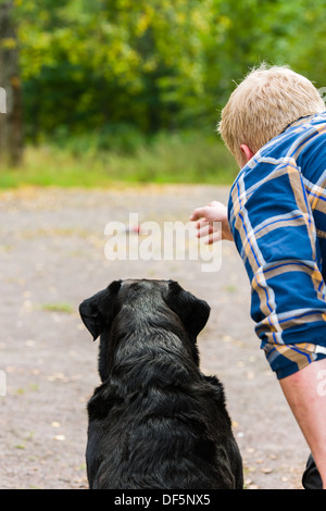 Hundebesitzer trainiert seine Labrador Retriever auf outdoor, vertikalen format Stockfoto